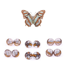 Load image into Gallery viewer, Stelenes Glass Studs