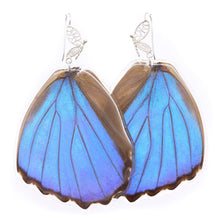 Load image into Gallery viewer, Filigree Earrings - Blue Morpho Hindwings