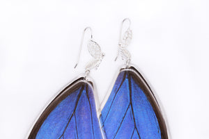 Filigree Earrings - Blue Morpho Forewings