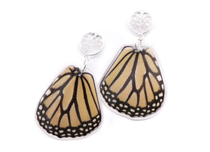 Filigree Pin Earrings -  Monarch Wings