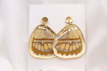 Load image into Gallery viewer, Stelenes Wing Earrings Gold Edge