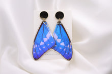 Load image into Gallery viewer, Blue Morpho Earrings
