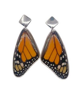 Whole Wing Earrings - Monarch Wings Silver