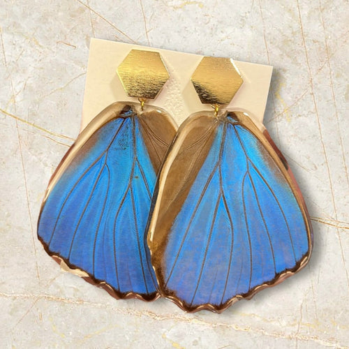 Blue Morpho Earrings - Gold post