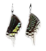 Load image into Gallery viewer, LEILUS WING DROP EARRINGS