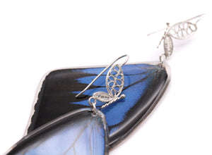 Blue Emperor Filigree Earrings Forewings