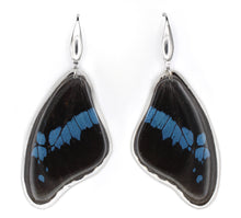 Load image into Gallery viewer, BROMIUS FOREWING EARRINGS