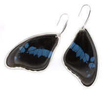 Load image into Gallery viewer, BROMIUS FOREWING EARRINGS