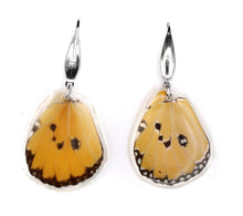 Load image into Gallery viewer, AFRICAN MONARCH EARRINGS