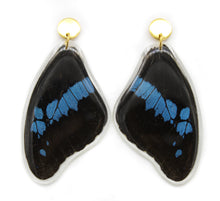 Load image into Gallery viewer, BROMIUS FOREWING EARRINGS