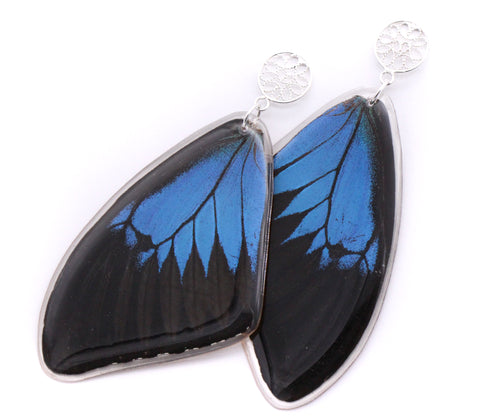 Blue Emperor Filigree Post Earrings