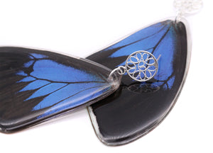 Blue Emperor Filigree Post Earrings