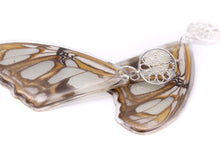 Load image into Gallery viewer, STELENES FILIGREE EARRINGS