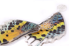 Load image into Gallery viewer, SUNSET MOTH FILIGREE EARRINGS