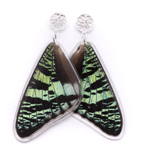 Load image into Gallery viewer, SUNSET MOTH FILIGREE GREEN SUNSET EARRINGS