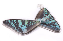 Load image into Gallery viewer, SUNSET MOTH FILIGREE GREEN SUNSET EARRINGS