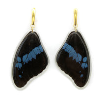 Load image into Gallery viewer, Bromius Swallowtail Wing Earrings