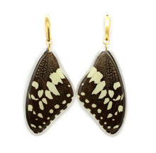 Load image into Gallery viewer, Citrus Swallowtail Wing Earrings