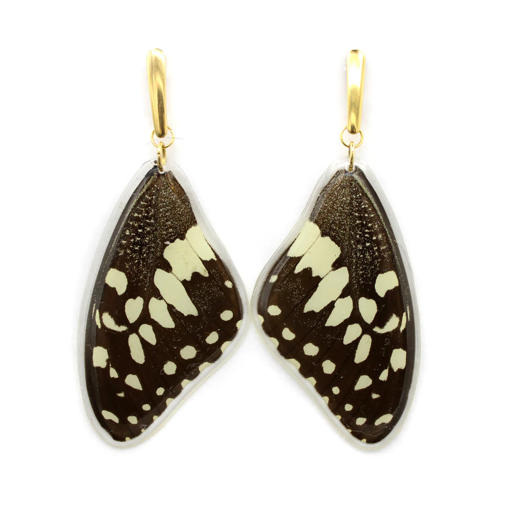 Citrus Swallowtail Wing Earrings