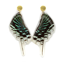 Load image into Gallery viewer, Green Banded Wing Earrings