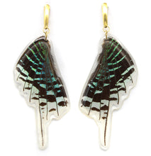 Load image into Gallery viewer, Green Banded Wing Earrings