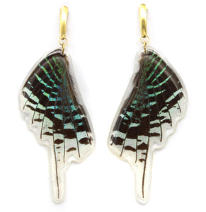 Green Banded Wing Earrings