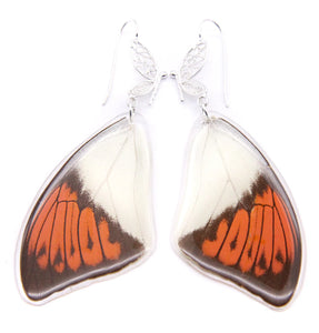 Filigree Earrings - Orange Tip Butterfly