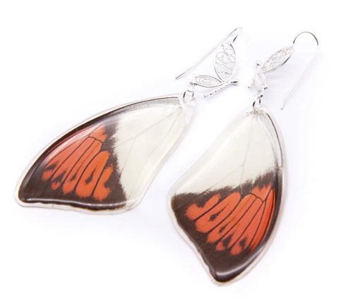 Filigree Earrings - Orange Tip Butterfly