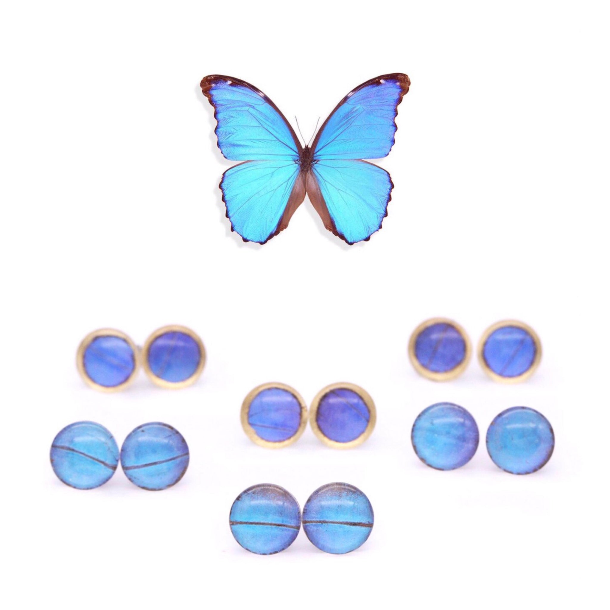 CZ Blue Butterfly Earrings, Swarovski Crystal Earrings, Statement Earr –  TheMillenniumBride