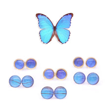 Load image into Gallery viewer, Blue Morpho Glass Studs