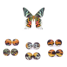 Load image into Gallery viewer, Sunset Moth Glass Studs