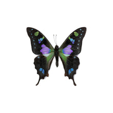 Load image into Gallery viewer, Peridot Earrings - Green Graphium Wings