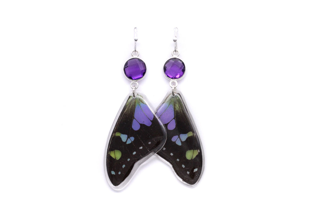 Amethyst Earrings. - Purple Wings