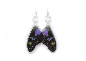 Opalite Earrings - Purple Wings