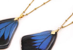 Whole Wing Necklace