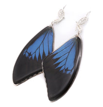 Load image into Gallery viewer, Blue Emperor Forewing Filigree Earrings