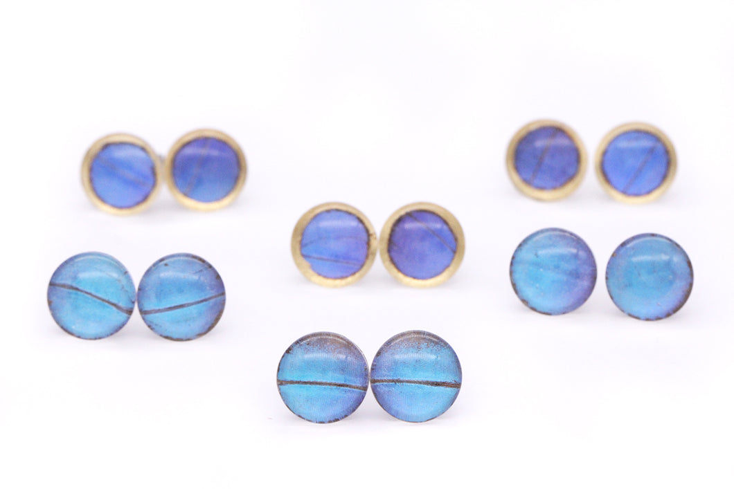 Blue Morpho Glass Studs