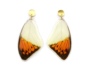 Orange Tip Wing Earrings