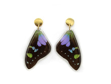 Load image into Gallery viewer, Purple Wing Earrings