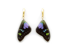 Load image into Gallery viewer, Purple Wing Earrings