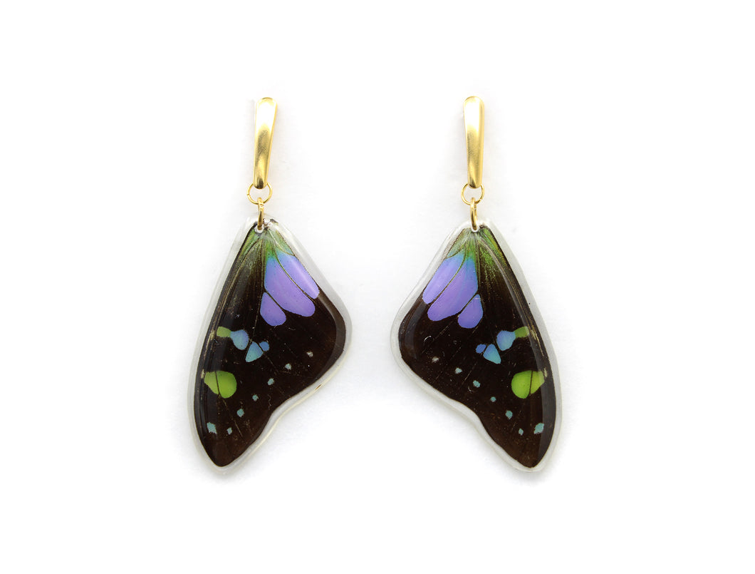 Purple Wing Earrings