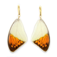 Load image into Gallery viewer, Orange Tip Wing Earrings