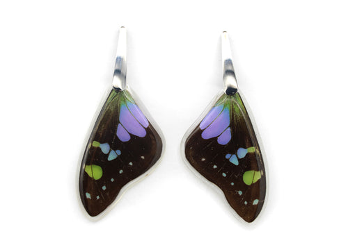 Purple Wing Earrings