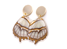 Load image into Gallery viewer, Stelenes  Earrings - 24k Gold Plated Post