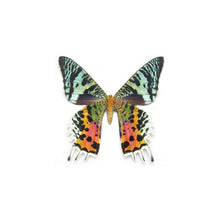 Load image into Gallery viewer, Statement Ring - Rainbow Wings
